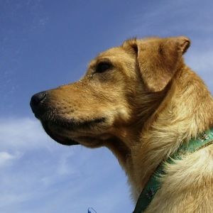 Meet your Posher, Justine